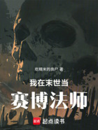 我在末世当赛博法师在线阅读