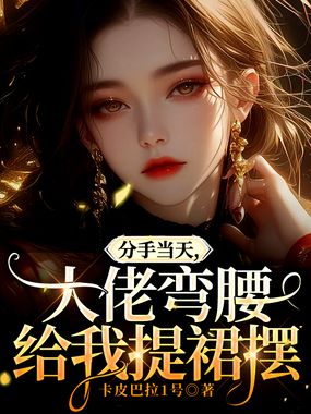 分手当天，大佬弯腰给我提裙摆在线阅读