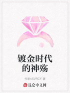 镀金时代的神殇在线阅读