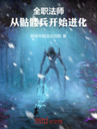 全职法师:从骷髅兵开始进化在线阅读