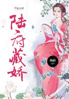 陸府藏嬌在線閱讀