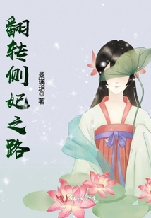 翻轉側妃之路