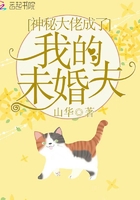 神秘大佬成了我的未婚夫在線(xiàn)閱讀