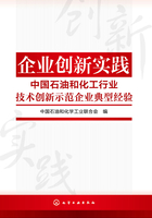 企业创新实践中国石油和化工行业技术创新示范企业典型经验在线阅读