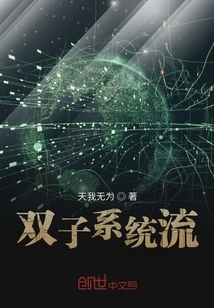 雙子系統流