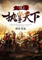 三国之执掌天下