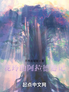 花玲的阿拉德游记在线阅读