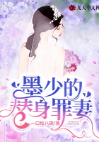 墨少的替身罪妻