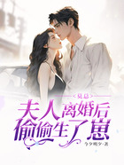 莫总,夫人离婚后偷偷生了崽在线阅读