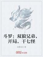 斗罗：双狼兄弟，开局，干七怪在线阅读