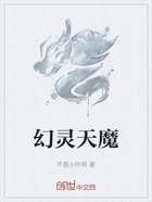 幻灵天魔在线阅读