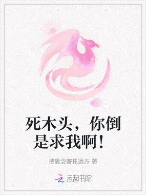 死木头，你倒是求我啊！在线阅读