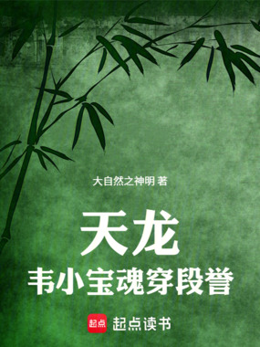 天龙:韦小宝魂穿段誉在线阅读