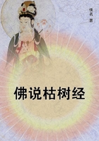 佛說枯樹經在線閱讀