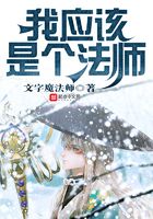 我应该是个法师