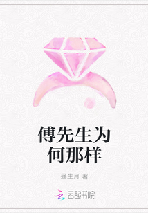 傅先生為何那樣