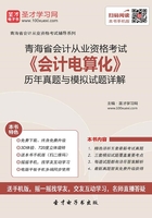 青海省会计从业资格考试《会计电算化》历年真题与模拟试题详解