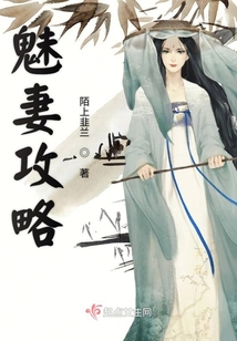魅妻攻略
