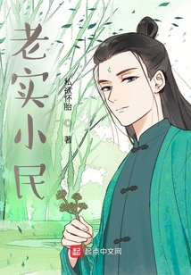 老实小民