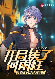 开局揍了何雨柱我成了四合院霸主在线阅读