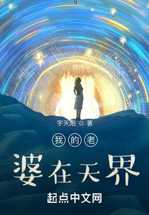 我的老婆在天界