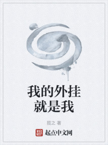 我的外掛就是我