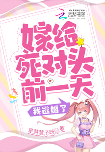 嫁給死對(duì)頭前一天我逃婚了