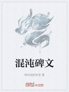 混沌碑文在线阅读