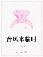 台风来临时在线阅读