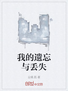 我的遗忘与丢失在线阅读