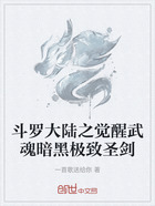 斗罗大陆之觉醒武魂暗黑极致圣剑在线阅读