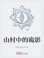 山村中的诡影在线阅读