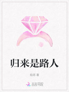 归来是路人在线阅读