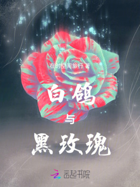 白鸽与黑玫瑰在线阅读