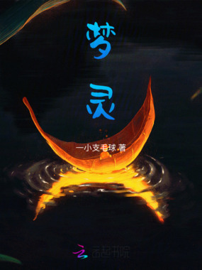 梦灵在线阅读