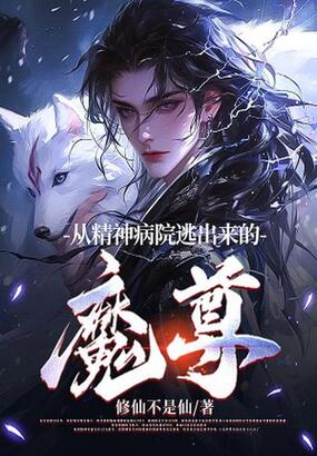 从精神病院逃出来的魔尊在线阅读