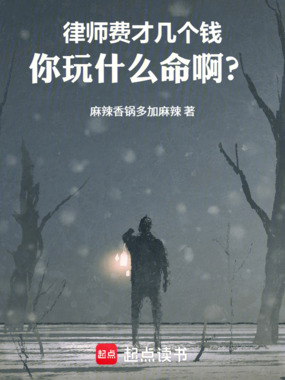 律师费才几个钱，你玩什么命啊？在线阅读