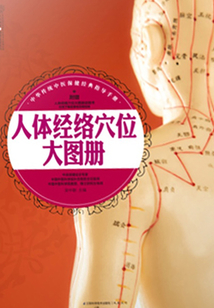 人體經絡穴位大圖冊
