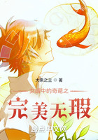 女婿中的奇葩之完美無瑕在線閱讀