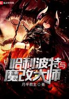 哈利波特與魔改大師在線閱讀