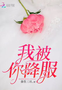 我被你降服
