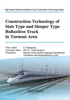 Construction Technology of Slab Type and Sleeper Type Ballast less Track in Turnout Area