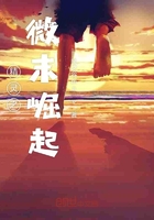 精靈之微末崛起在線閱讀