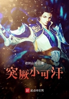 突厥小可汗在線閱讀