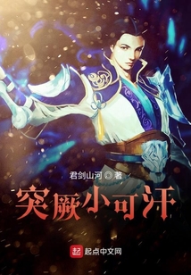 突厥小可汗
