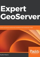 Expert GeoServer