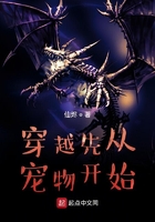 穿越先從寵物開始在線閱讀