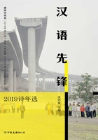 汉语先锋：2019诗年选在线阅读