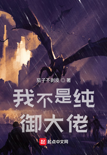 我不是纯御大佬