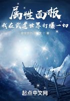 属性面板：我在武道世界打爆一切在线阅读